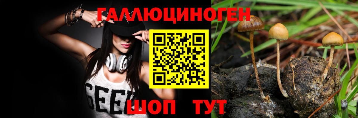 Галлюциногенные грибы Psilocybe  Вход с VPN  Галлюциногенные грибы GOLDEN TEACHER  Анапа 